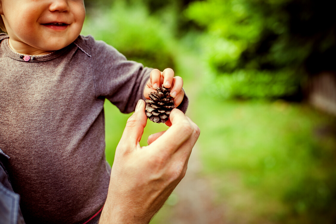 Nature Family Fun