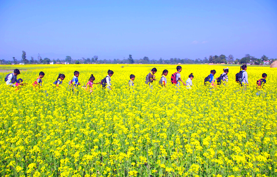 Children Walking on a Field of Yellow Flowers